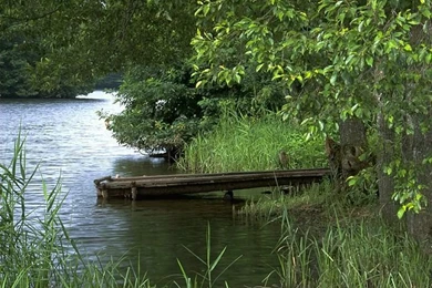 Wonderful Lush Summer Scene Wallpaper65   Wallcoo.net