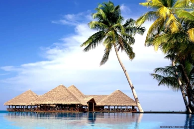 Wallpapers Beach Scenes