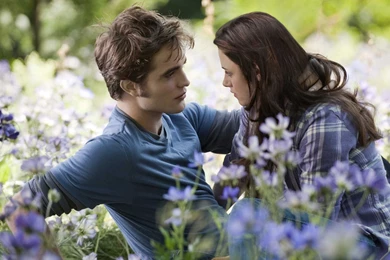 Twilight Saga HD Wallpapers