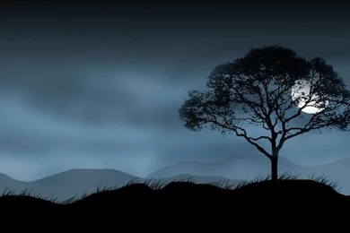 Amazing MooN And MoonLight WallPapers   Page 2   Image Gallery ...