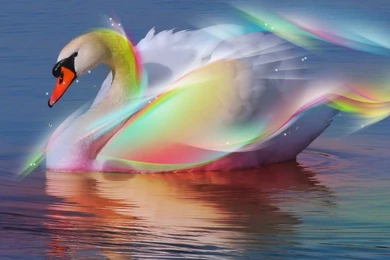 Download Wallpapers 3D   Wallpapers HD Fine