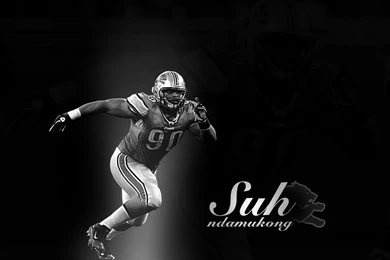 Abstract Ndamukong Suh Wallpapers 6164 1200x800 Px ~ WallpaperFort.com