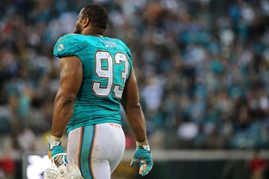 Ndamukong Suh News, Video And Gossip   Deadspin