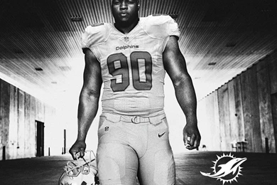 Brian Konnick On Twitter: "@OmarKelly Ndamukong Suh In Dolphins ...