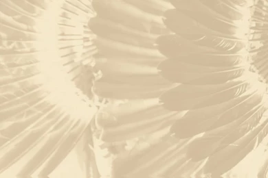 The Official Site Of Kaw Nation