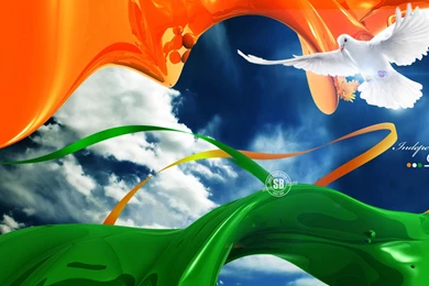 12 india independence day wallpaper.jpg