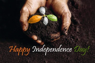40 Beautiful Indian Independence Day Wallpapers And Greeting Cards