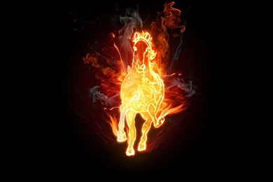 3D Fire Horse Wallpapers