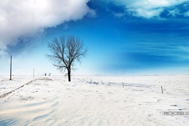 Free Winter Wallpapers Download For Computer Desktop Backgrounds ...