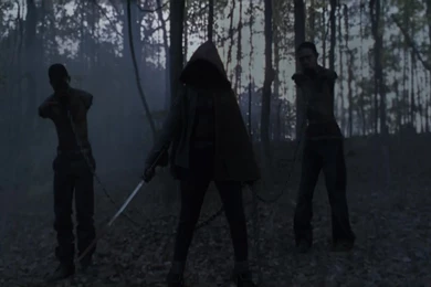 The Walking Dead Computer Wallpapers, Desktop Backgrounds ...