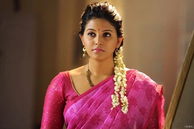 Tamil And Telugu Actress Anjali HD Wallpapers   IHD Wallpapers