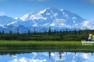 Best HD Wallpapers For Windows XP.jpg