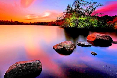 Hd Nature Images, Wallpapers Of Natures, Plants, Fresh Air, Windows ...