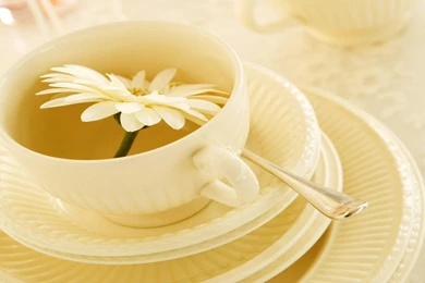 Cup Of Tea Wallpapers >> Backgrounds With Quality HD