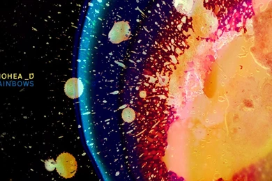 In Rainbows Wallpapers 1280x1024   (