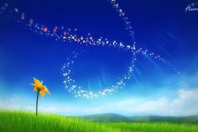 HD Wallpapers: 1280x800 » Flowers » Slideshow