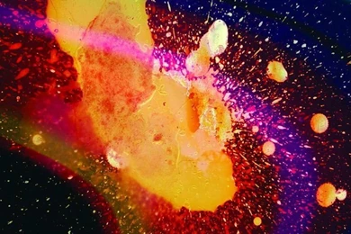 Radiohead Artwork, In Rainbows