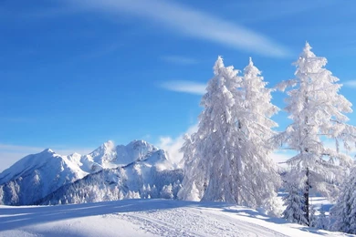 Winter HD Wallpapers And Backgrounds