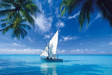 Nature Wallpapers Archives   Page 8 Of 11   Free Desktop ...