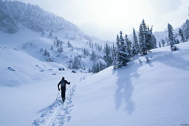 Downloads   Microsoft Windows