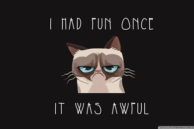 I Had Fun Once, It Was Awful Wallpapers (DESKTOP BACKGROUNDS ...