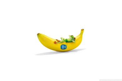 Chiquita With Frog Funny Wallpapers (DESKTOP BACKGROUNDS)
