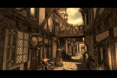 2295737 dolphin_2012_07_17_10_25_42_16.jpg