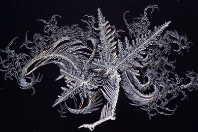 Nature   Winners Wallpapers   National Geographic Photo Contest ...