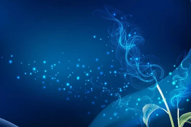 Hd High Quality Wallpapers   Desktop Backgrounds