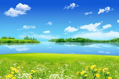 Summer Background Images   HD Wallpapers Lovely
