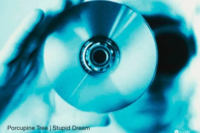Porcupine Tree Desktop   1024 X 768 Pixels