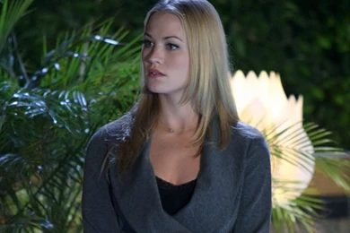 Pretty Yvonne Wallpaper!   Yvonne Strahovski Wallpapers (11497496 ...