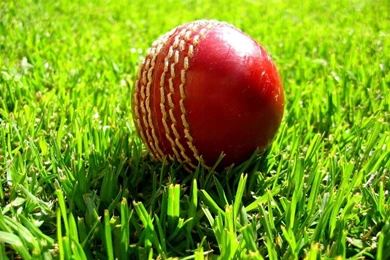Cricket+wallpapers_1.jpeg
