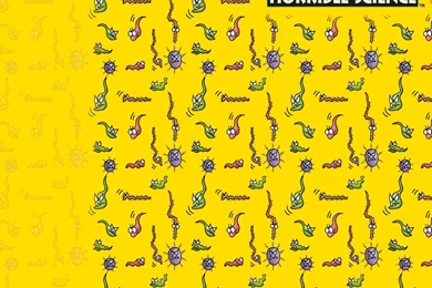 Horrible Science Wallpapers   115117