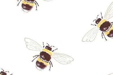 Free Digital Wallpapers From The Hallmark Summer Interns – Think ...