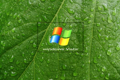 Green Leaf Vista001 Windows 7 Wallpapers (26872675) Fanpop