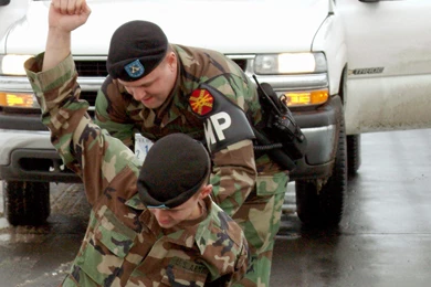 File:U.S. Army Sgt. Jesse Neely (background), 6015th Garrison ...