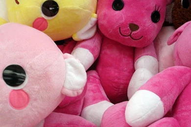 Teddy Bear Hd Wallpapers Desktop Backgound   Wallpaperss HD