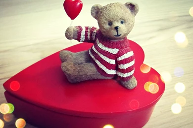 Beautiful teddy bear hd wallpaper.jpg