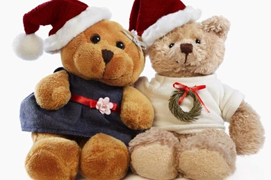 Lovely Teddy Bear Hd Wallpapers