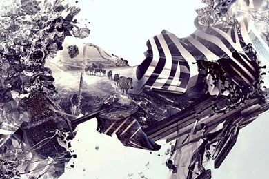 Abstract Zebra iPhone 6 Wallpapers   Zebras iPhone 6 Wallpapers ...