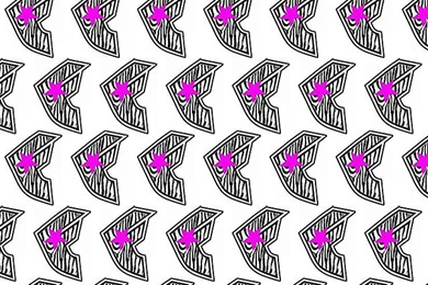 Zebra Famous iPhone Wallpapers