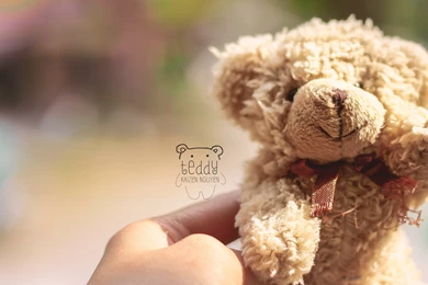 Teddy Bear Ultra Hd Wallpapers   Ultra High Definition Wallpapers ...