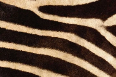 30+ Best Cool Retina iPhone 6 Wallpapers & Backgrounds In HD Quality