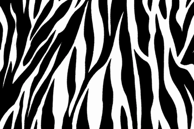 Zebra Print 1080x1920.jpg
