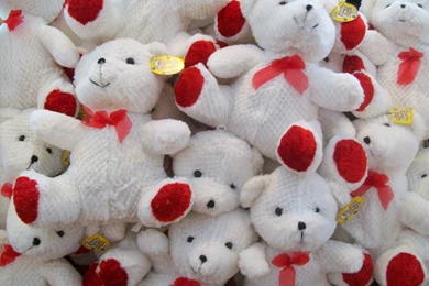 White Teddy Bear Wallpapers 2015