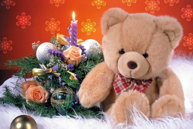 White Teddy Bear Red Rose Hd Wallpapers