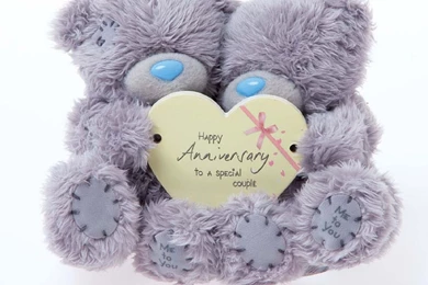 Anniversary Wishes Teddy Bear Funny HD Wallpapers