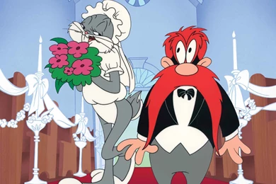 YOSEMITE SAM Looney Tunes F Wallpapers