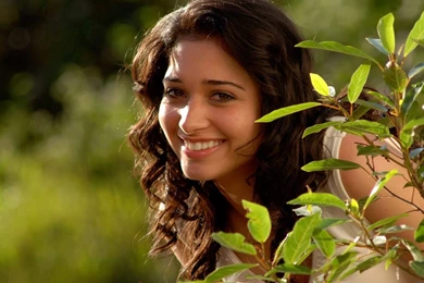 Free Actress Wallpapers Download   HD Wallpapers Pretty